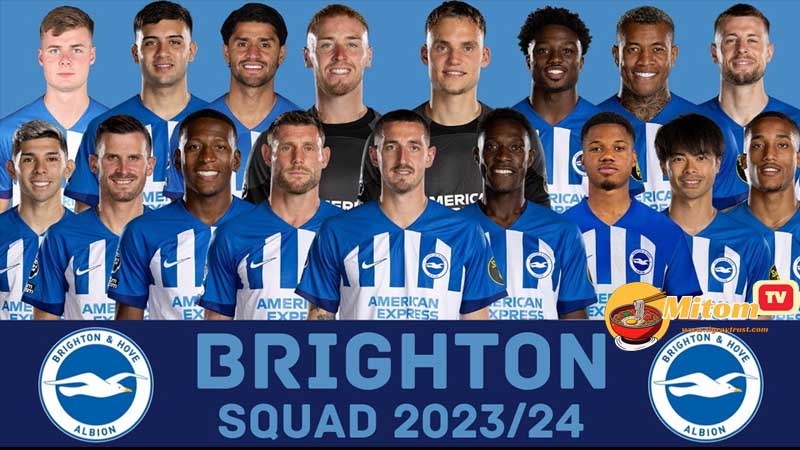 Mùa giải bóng đá 2023-2024 của câu lạc bộ Brighton & Hove Albion