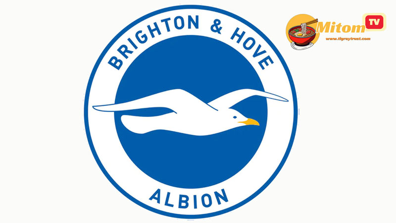 Sơ lược các giai đoạn lịch sử của Brighton & Hove Albion fc