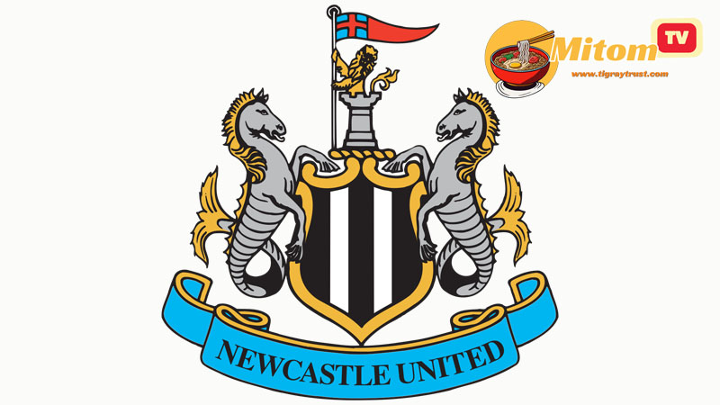 Tổng quan về Newcastle United