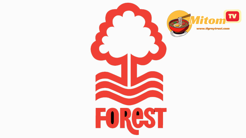 Tổng quan về câu lạc bộ Nottingham Forest